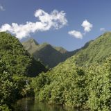 Die Vulkaninsel Tahiti ist sehr gebirgig und von dichten, tropischen Waeldern umgeben. 
