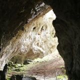 Da es im Mt. Kosciuszko N.P. sozusagen nur geregnet hat, schalteten wir unsere Tour auf Schlechtwetterprogramm um. Im Norden des Parks gibt es einige Höhlen zu besichtigen, was wir dann auch taten. 

