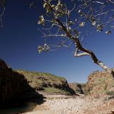 Landgang in der "Chamberlain Gorge". 
