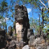 Im "Litchfield N.P." unternehmen wir noch einen Abstecher zu der "Lost City" (verlorene Stadt) mit ihren speziellen Steinformationen. 
