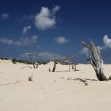 Sanddüne im Coffin Bay National Park. 

