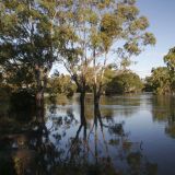 Murray River
