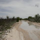 Nasse und schlammige Fahrt durch Namibias grössten Tierpark, dem Etosha N.P.. Des einen Leid...
