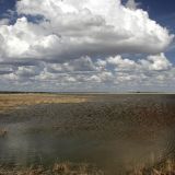 Ein grosser Teil der Etosha Pfanne ist unter Wasser.

