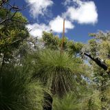 Unterwegs im Leeuwin Naturaliste N.P.
