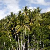 Diesen Strand entdeckten wir auf dem "Bloomfield Track" und...
