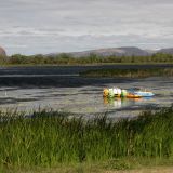 Der "Lake Kununurra" im gleichnamigen Städtchen. 

