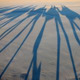 Nach 5000km mehr auf dem Tacho erreichen wir "Broome" an der Westküste. Hauptattraktion dieses Städtchens sind die Perlenfarmen und die Kameltouren. Wie man hier sieht, haben wir uns fürs Zweite entschieden.  
