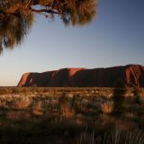 Sonnenaufgang beim Uluru (Ayers Rock). Es ist eisig kalt, aber das frühe Aufstehen hat sich gelohnt.
