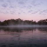 Sonnenaufgang über den "Dalhousie Springs".
