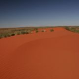 Man sagt, desto nördlicher man in die "Simpson Desert" kommt, desto intensiver leuchten die Dünen rot. Und wir können das nur bestätigen. Hier auf dem "Hay River Track". 
