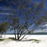 Traumstrand bei Inskip Point im Great Sandy N.P.

