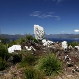 Blick auf den "Lake Pedder"...
