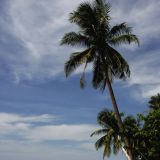 Wenn man noch einsame Strände auf Koh Samui sucht, wird man im Süden der Insel fündig. 
