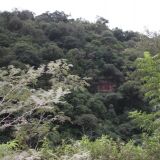 Im Tal angekommen, empfängt uns eine tropische Landschaft
