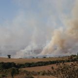 Trauriges Bild, wo's geht wird immer noch Brandrodung betrieben
