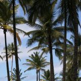 Ein kleines Paradies auf Erden

