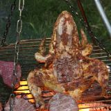 Unser Weihnachtsmenü, dies ist kein  übergrosser Frosch sondern ein gestrecktes Poulet
