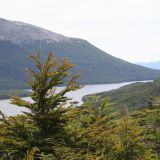So hätten wir uns Feuerland nicht vorgestellt, viele Wälder und Seen
