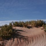 Mitten im Altiplano ragen meterhohe Sanddünen hervor
