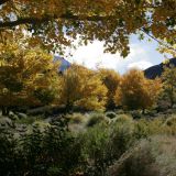 Der Herbst hält Einzug in Argentinien. Unser schönes Übernachtungsplätzchen auf 3000m
