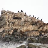 Das Meer ist sehr stürmisch, die Wellen erreichen eine Höhe bis zu 8 Meter. Deshalb ist diese Gegend auch ein grosses Surferparadies
