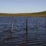 Die starken Regenfälle hinterlassen ihre Spuren, vieles ist unter Wasser
