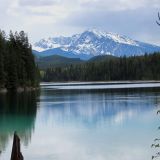 Jasper N.P. 

