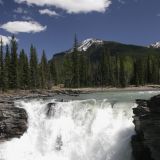 Athabasca Falls
