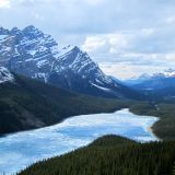 ...dem Lake Peyto. Der Aufstieg hat sich gelohnt, die Aussicht auf den See und die Rockies ist einfach grandios. 
