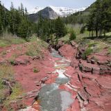 Red Rock Canyon im Waterton Lakes N.P. 
