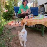 Auch die Camping-Katze begrüsst uns freudig.
