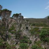 Das Kap Hinterland
