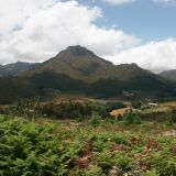 Auf dem Weg nach Oudtshoorn
