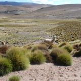 Unser Abschied von Argentinien tut schon ein bisschen weh...
