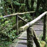 Im Nationalpark Queldat machen wir eine Wanderung.
