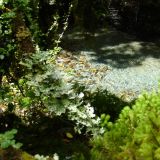 Glasklares Gletscherwasser...
