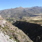 In der Colca Region wird viel Landwirtschaft betrieben.
