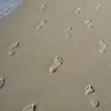 Spaziergang am einsamen Strand...
