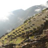Die hängenden Gärten von Machu Picchu.
