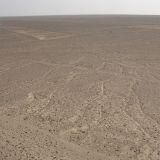 Die Nasca-Linien.

