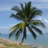 Unser Strand mit Blick auf den Marine Nationalpark im Hintergrund.
