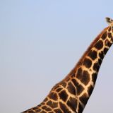 Etosha Nationalpark
