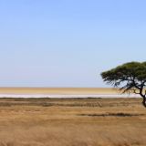 Blick auf die Etosha Salzpfanne
