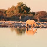 Etosha Nationalpark

