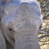 Etosha Nationalpark
