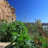 Der Orange River zieht einen grünen Gürtel durch die ansonsten knochentrockene Landschaft
