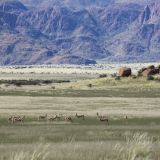 Durch den Namib-Rand NP
