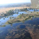 Flug ueber das Moremi Game Reserve
