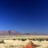 Savannenlandschaft im Kaokoveld
